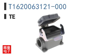 T1620063121-000