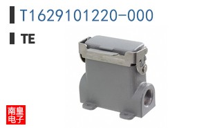 T1629101220-000