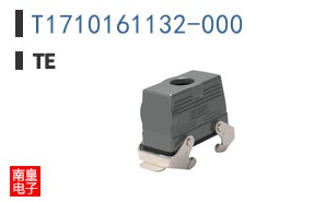 T1710161132-000