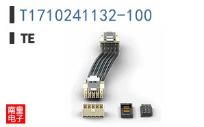 T1710241132-100