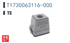T1730063116-000