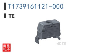 T1739161121-000