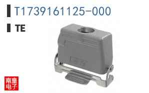 T1739161125-000