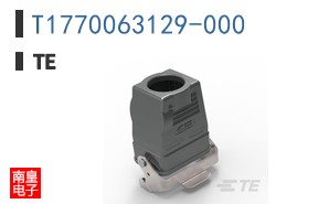 T1770063129-000