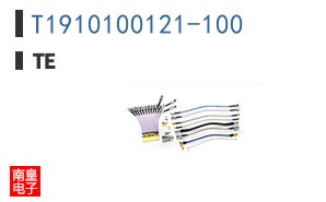 T1910100121-100