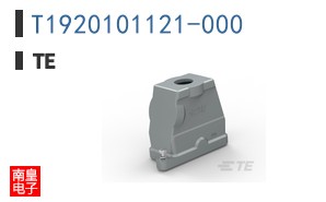 T1920101121-000