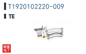 T1920102220-009