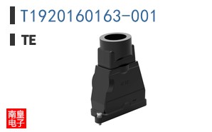 T1920160163-001