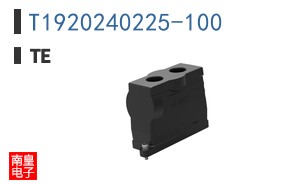 T1920240225-100