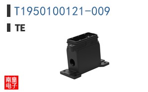 T1950100121-009