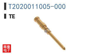 T2020011005-000