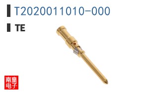 T2020011010-000