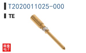 T2020011025-000