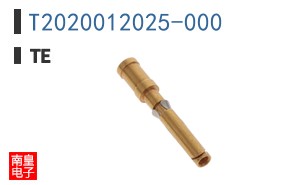 T2020012025-000