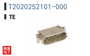 T2020252101-000