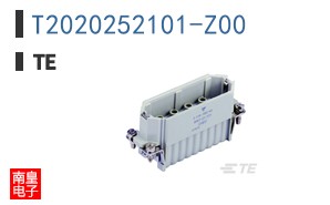 T2020252101-Z00