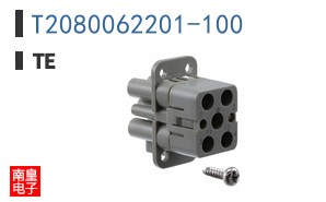 T2080062201-100