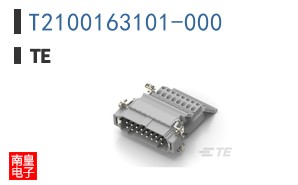 T2100163101-000