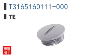 T3165160111-000