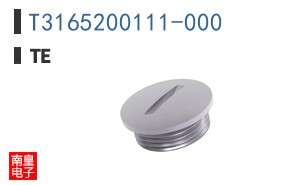 T3165200111-000