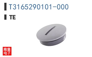 T3165290101-000