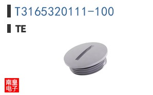 T3165320111-100