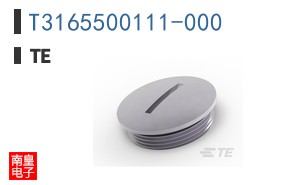 T3165500111-000