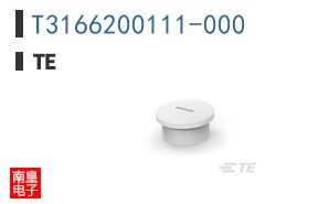 T3166200111-000