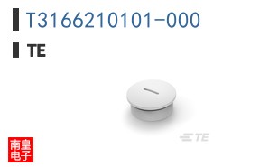 T3166210101-000