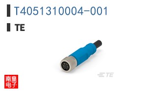 T4051310004-001