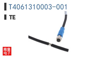 T4061310003-001