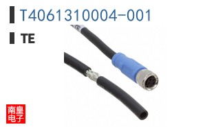 T4061310004-001