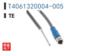 T4061320004-005