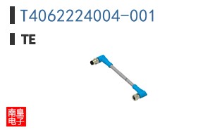 T4062224004-001