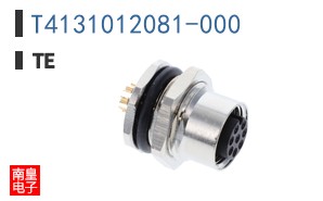 T4131012081-000