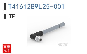 T41612B9L25-001