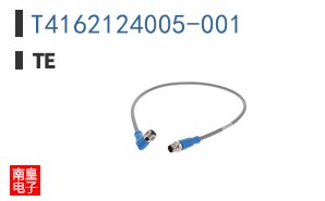 T4162124005-001