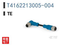 T4162213005-004