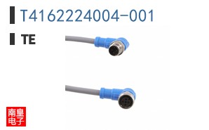 T4162224004-001