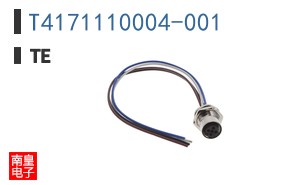 T4171110004-001