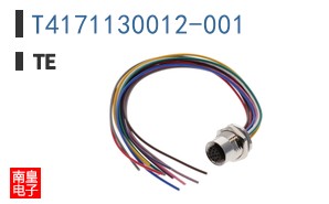 T4171130012-001