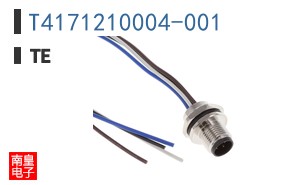 T4171210004-001