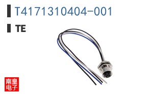 T4171310404-001