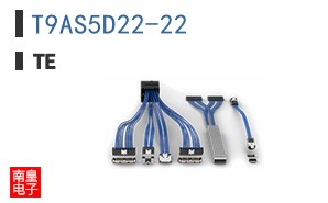 T9AS5D22-22