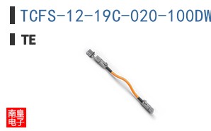 TCFS-12-19C-020-100DW