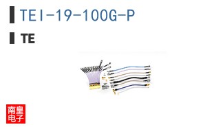 TEI-19-100G-P