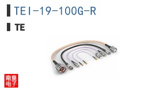 TEI-19-100G-R