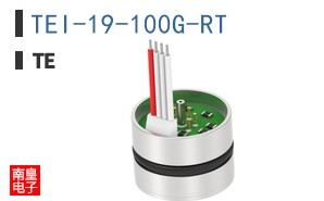 TEI-19-100G-RT