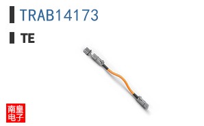 TRAB14173