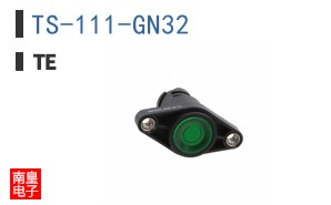 TS-111-GN32